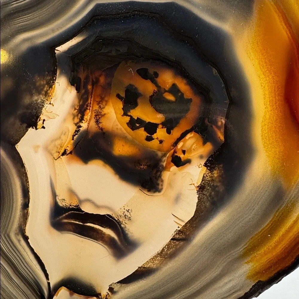 Agate Slice Display or Coaster